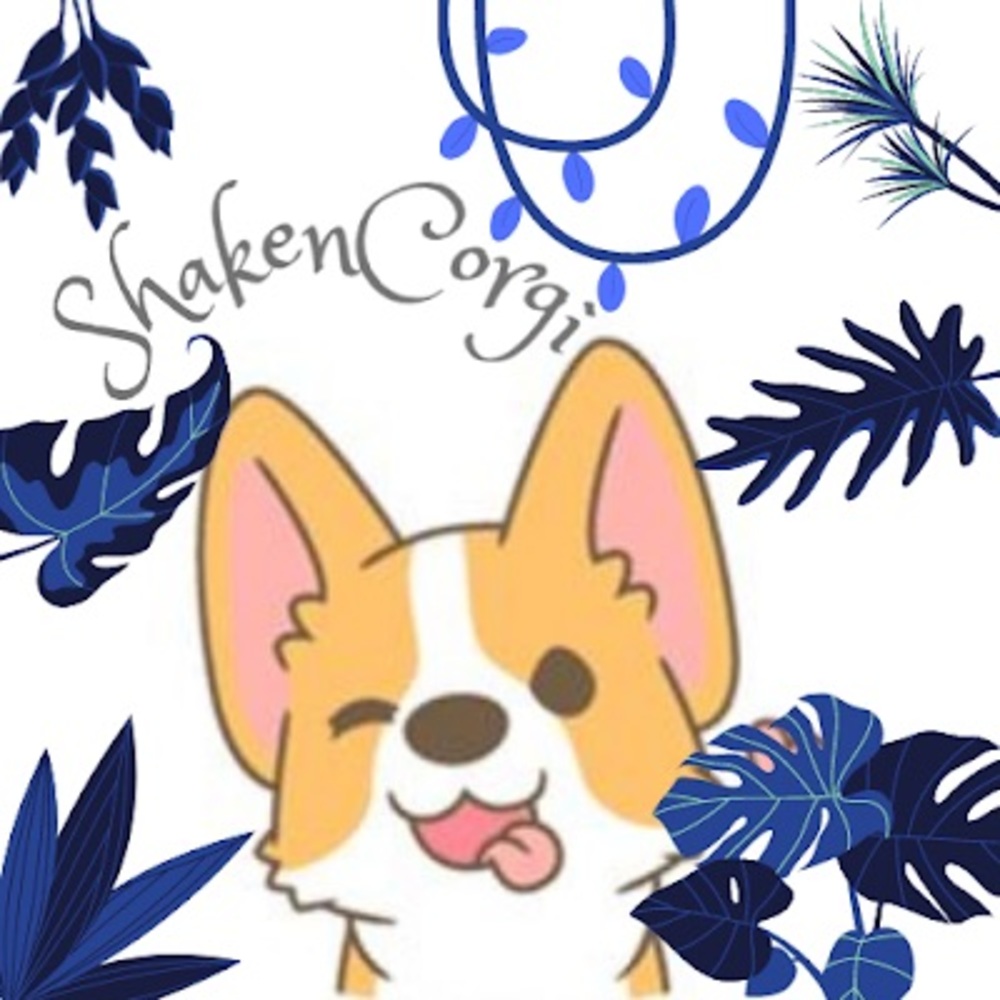 Meet your Posher, Shakencorgi